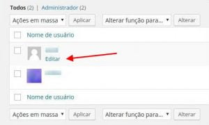 Usuários WordPress